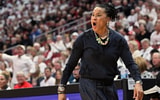 NCAA Womens Basketball: South Carolina at Louisville