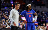 Florida-Gators-Boogie-Fland-Todd-Golden