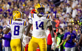 NCAA Football: South Carolina at Louisiana State
