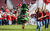 NCAA Football: Louisville at Stanford