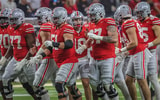Ohio-State-Buckeyes-by-Birm-LR