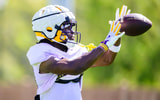 LSU true freshman wide receiver TaRon Francis