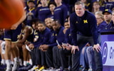 NCAA Basketball: Wisconsin at Michigan