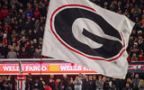 Georgia logo on a flag