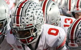 Ohio-State-Buckeyes-by-Birm-LR