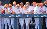 Tennessee Baseball. Credit: Saul Young/News Sentinel / USA TODAY NETWORK via Imagn Images
