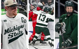 1 hockey collage