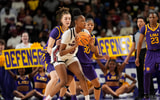 South Carolina Gamecocks forward Joyce Edwards (8) looks to pass against the Louisiana State Tigers during the first half at Bon Secours Wellness Arena. Mandatory Credit: Jim Dedmon-Imagn Images
