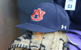 Officials-provide-update-on-Auburn-Tigers-baseball-rally-bird-from-College-World-Series-win-over-Stanford-Cardinal