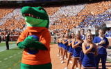 Florida Gators mascot and cheerleaders at Neyland Stadium