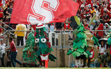 stanford-suspends-tree-for-on-field-antics-during-arizona-state-game-hates-fun-banner-mascot