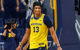 Michigan Madness