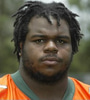 Vince Wilfork Avatar