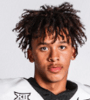 Patrick Williams Avatar