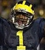 Braylon Edwards Avatar