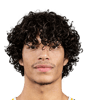 Dion Brown Avatar