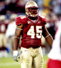 Darnell Dockett Avatar