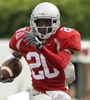 Lardarius Webb Avatar