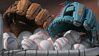 baseball generic jackson reitz