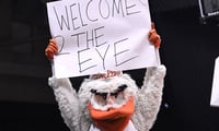 Sebastian the Ibis, Miami Hurricanes Mascot