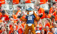 Auburn