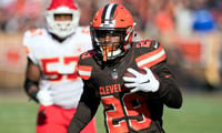 Duke Johnson