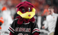 Nov 25, 2023; Columbia, South Carolina, USA; South Carolina Gamecocks mascot Cocky performs on the side lines in the second half against the Clemson Tigers at Williams-Brice Stadium. (David Yeazell-USA TODAY Sports)