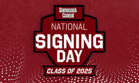 NSD AFI-sc