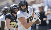 LSU is hosting some top targets from the Transfer Portal (Photo: Krockover Photography)