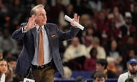 Vic Schaefer