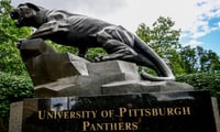 Pittfb3