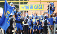 Tiger Cage_TW-0856