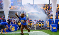 Pittfb3