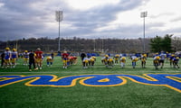 Pittfb