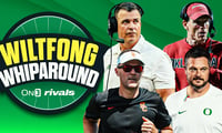 Wiltfong-Whiparound copy (14)
