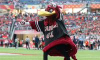 South Carolina mascot