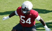 Jayvin James, Alabama