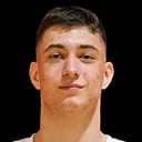 Aleksa Dimitrijevic