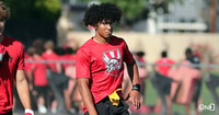 Devin Fitzgerald