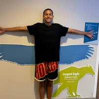 Default Avatar