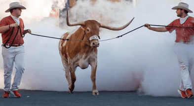 the-two-horns-of-the-longhorn-dilemma