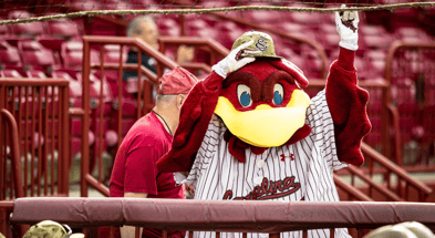 South Carolina mascot Cocky dons a camo hat during a midweek baseball game