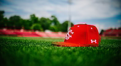 south carolina gamecocks baseball hat