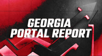 Georgia Portal Report