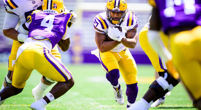 Josh Williams LSU Athletics