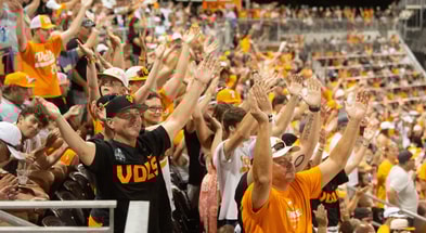 Tennessee baseball fans. Credit: Saul Young/News Sentinel / USA TODAY NETWORK
