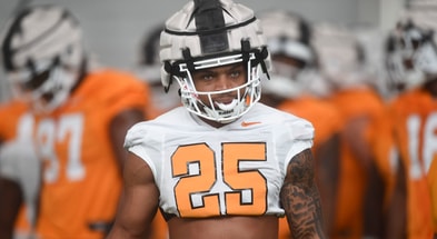Tennessee running back DeSean Bishop. Credit: Caitie McMekin/News Sentinel / USA TODAY NETWORK