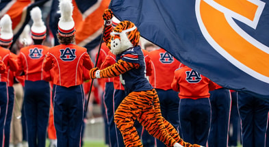 Auburn