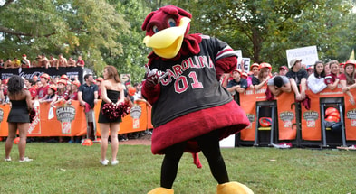 Columbia, SC - September 27, 2014 - University of South Carolina: Fans on the set of College GameDay Built by the Home Depot (Photo by Scott Clarke / ESPN Images)