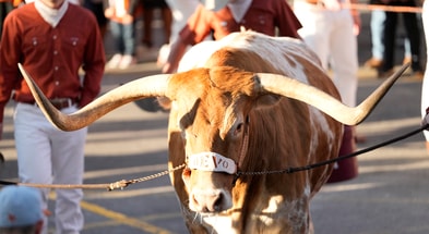 NCAA Football: Florida at Texas